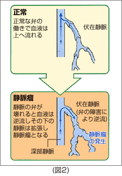 図2